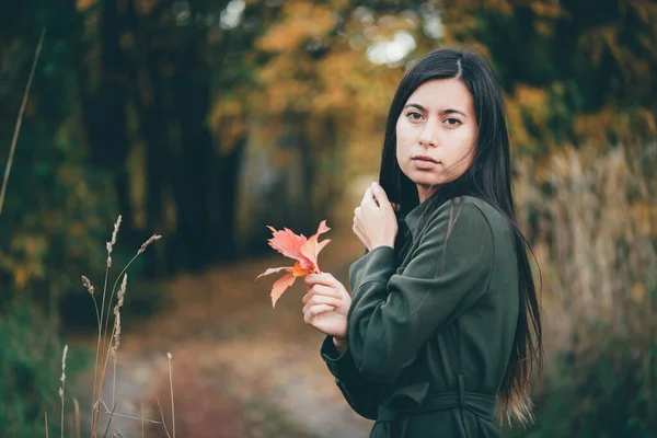 황금빛 잎사귀들 사이에 암컷의 아름다운 초상화 가을에는 머리를 아름다운 소녀가 — 스톡 사진
