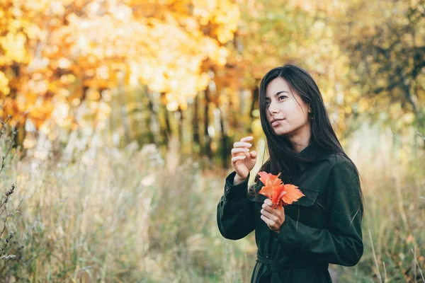 암컷의 아름다운 초상화가 나뭇잎으로 둘러싸여 있습니다 아름다운 소녀가 가을에는 머리를 — 스톡 사진