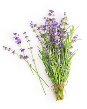 Beyaz arka planda bir demet lavanta çiçeği