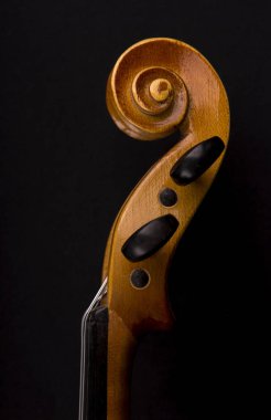 Keman başlığının ayrıntıları