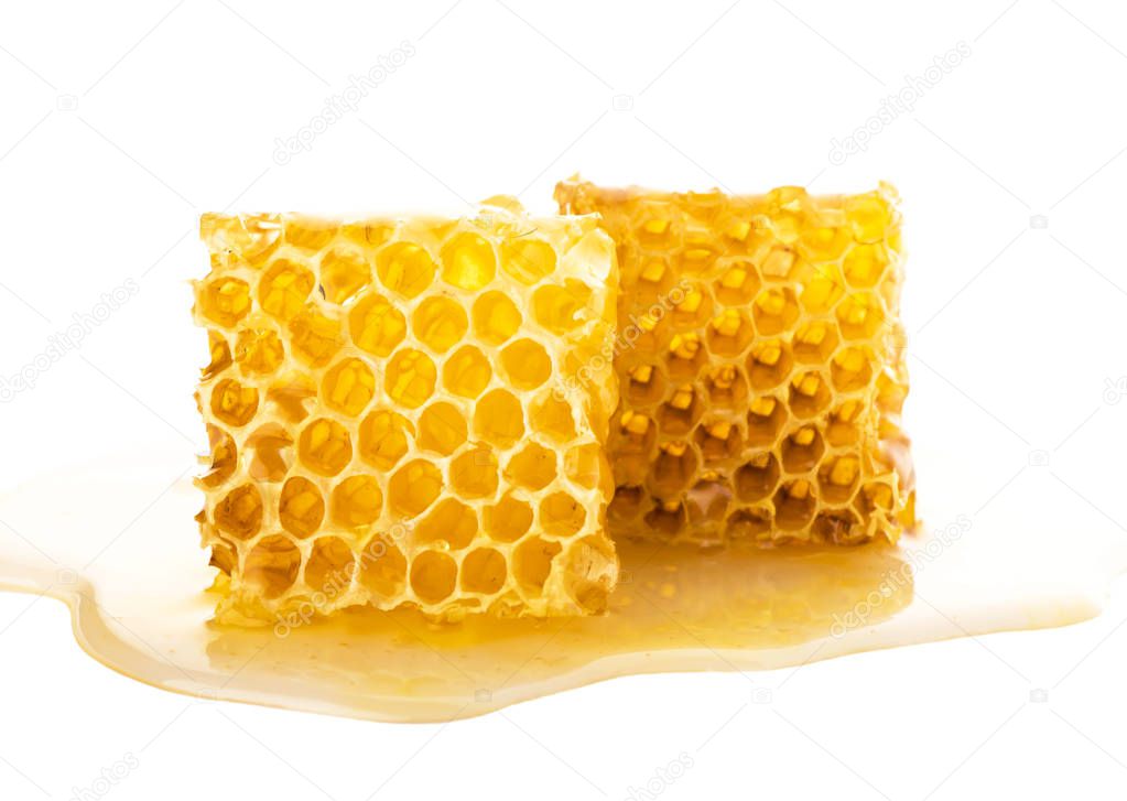 Sweet honeycomb isolated on white, bee products