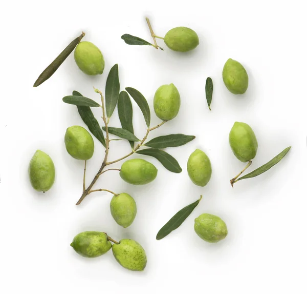Olivové ovoce a olivové listy na bílém pozadí — Stock fotografie
