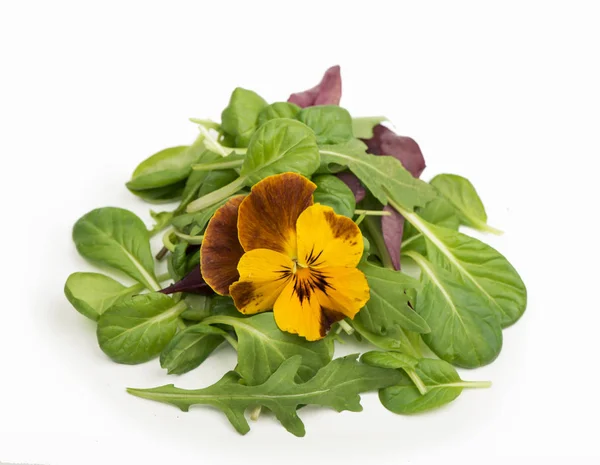 Salata roka ile ıspanak salatası kırmızı ve yenilebilir çiçekler beyaz bir arka plan üzerinde karıştırın. — Stok fotoğraf