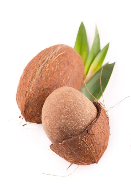 Noix de coco avec moitié et feuilles sur fond blanc — Photo