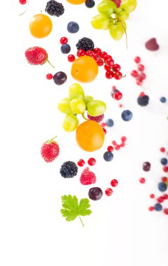 Böğürtlen karışımı beyaz bir arkaplanda izole