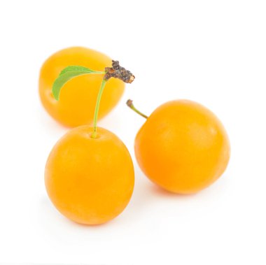 Beyaz arkaplanda yaprakları olan sarı erik