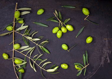 Siyah arkaplanda zeytin yağı ve zeytin dalı