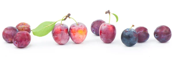 Ripe plums with leaves close up on white background — Stock Photo, Image