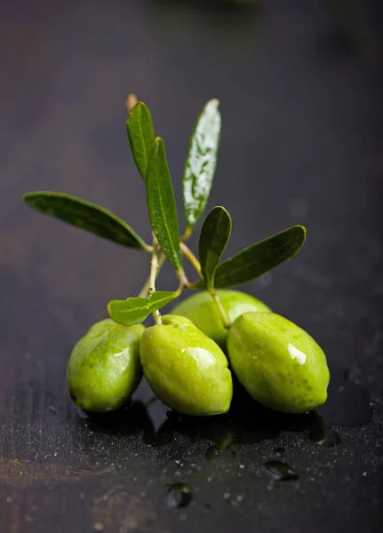 Olive oil and olive branch on black background — Stock Photo, Image