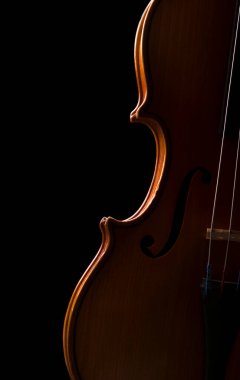 Orkestranın keman müzik aleti siyah üzerine izole edilmiş.