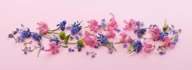 Çiçekler ve bitkiler pembe arka planda izole.