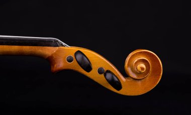 Orkestranın keman müzik aleti siyah üzerine izole edilmiş.