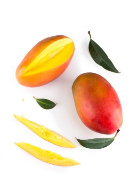 Beyaz arkaplanda yalıtılmış mango yaprağı