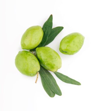 Beyaz arka planda zeytin ve zeytin yaprakları.