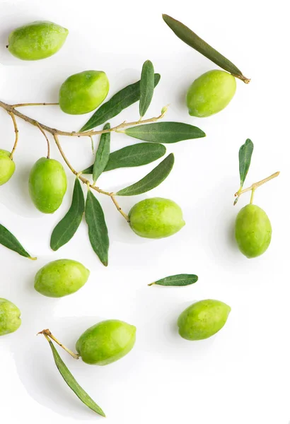 Olive Fruit Olive Leaves White Background — Stock Photo, Image