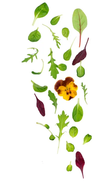 Grüne Salatblätter Isoliert Auf Weißem Salat — Stockfoto