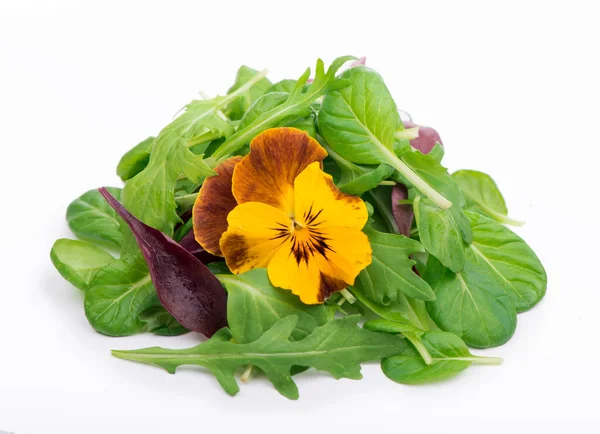 Mix Salad Arugula Spinach Salad Red White Background — Stock Photo, Image