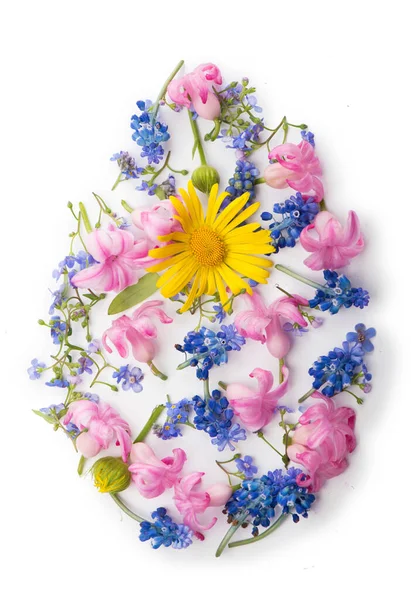 Beyaz Arkaplanda Izole Çiçekler Bitkiler — Stok fotoğraf