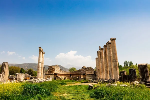 Arkeolojik Helenistic kent Aphrodisias, Batı Anadolu, Türkiye, Tetrastoon alanı.