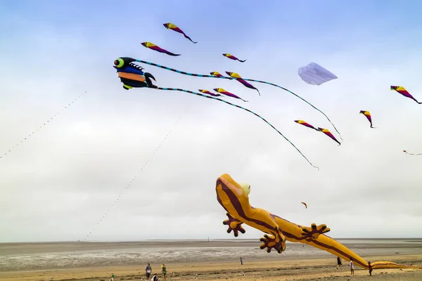 伍麦克 2018年7月22日 伍麦克夏季在沙滩上放飞风筝 — 图库照片