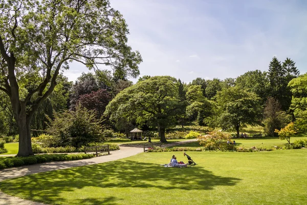 手入れの行き届いた緑の芝生のピクニックに適した大規模な英国スタイル公園 — ストック写真