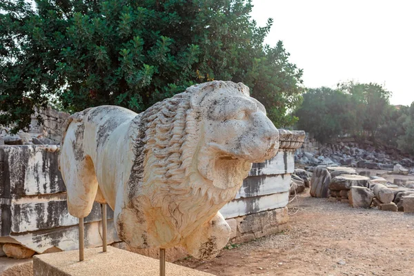 Sculpture of lion at the archaeological site of Ruins of the Apollo Temple in Didyma, Turkey.