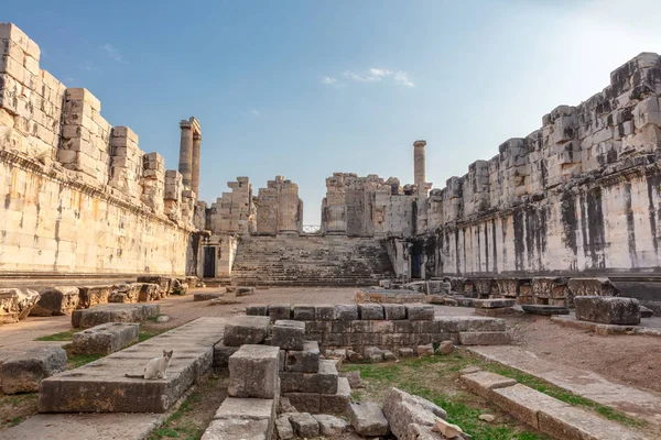 Historiska Ruinerna Apollotemplet Ligger Didim Vid Aydn Provinsen Turkiet — Stockfoto
