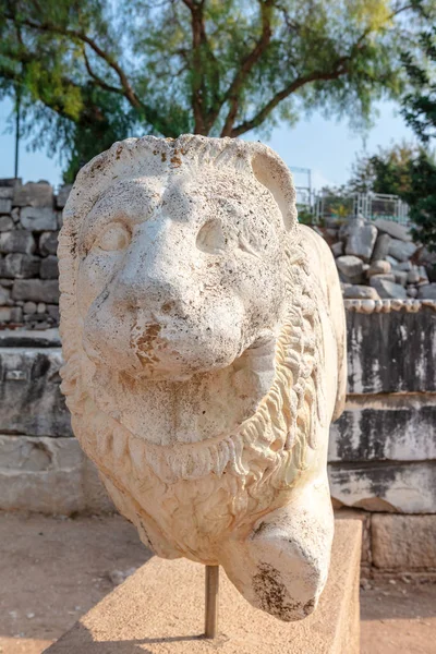 Escultura León Sitio Arqueológico Ruinas Del Templo Apolo Didyma Turquía — Foto de Stock