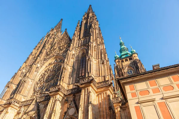 Kule Bir Rozet Vitus Katedrali Prag Çek Cumhuriyeti — Stok fotoğraf