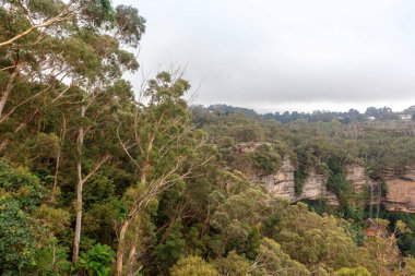 Avustralya'da şelale ile Blue Mountains manzara.