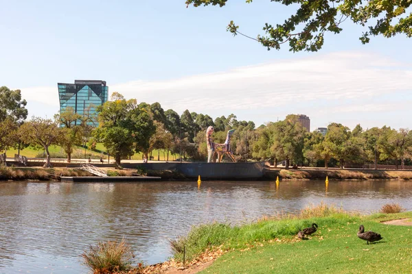 Melbourne Yarra Nehri Kıyısında Şehir Parkı Birrarung Marr Avustralya — Stok fotoğraf