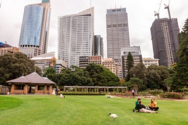 Sidney, Avustralya Nisan 2, 2019: Royal Botanic Gardens şehir merkezi sahne insanlar piknik ve Beyaz Aynak kuşlar eşliğinde zevk.