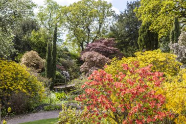 İlkbaharda bir parkta çiçekli çalılar ve ağaçlar bir kaleydoskop ile dar bir yol.