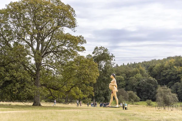 Wakefield Yorkshire September 2019 Natursköna Omgivningar Yorkshire Sculpture Park Perfekt — Stockfoto