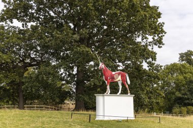 Wakefield, Yorkshire, Uk - 18 Eylül 2019: Damien Hirst heykel efsanesi derisinin yarısı yüzülmüş beyaz tek boynuzlu atların canlı kırmızı, pembe ve sarı kas yapısını ve dokularını gözler önüne seriyor..