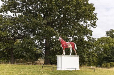 WAKEFIELD, YORKSHIRE, UK - September 18, 2019: Damien Hirst sculpture Myth is of white unicorn with half of its skin flayed  revealing vibrant red, pink and yellow musculature and tissues. clipart