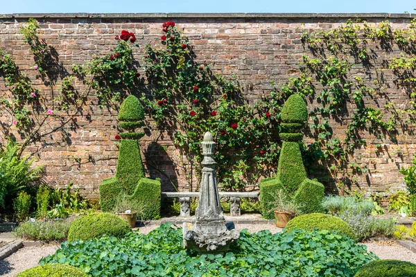 Pequeno Jardim Topiário Com Rosas Espaliadas Contra Parede Tijolos — Fotografia de Stock