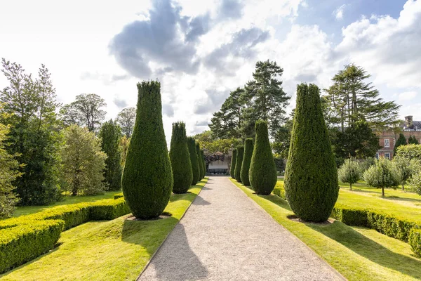 Flaskformade Buskar Längs Gränden — Stockfoto