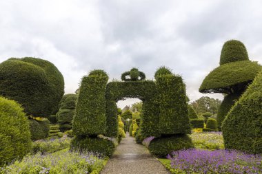 Dünyanın en eski ağaç parkı. Cumbria, İngiltere 'deki Levens Hall' da fantastik şekilli bitkiler var..