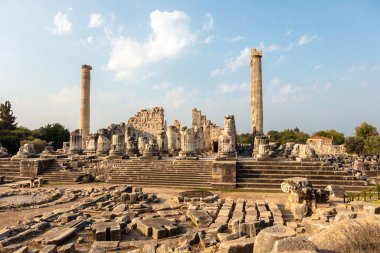 Apollon Tapınağı, Aydın 'ın Didim ilçesine bağlı Türkiye' nin en iyi korunmuş tapınaklarından biridir..