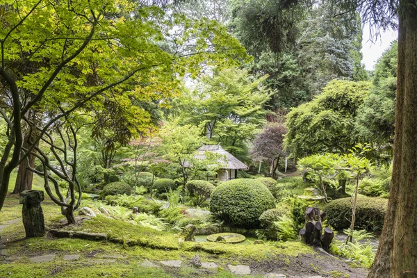 Tatton Park Cheshire England July 2020 Scenic Corner Japanese Garden — Stock Photo, Image