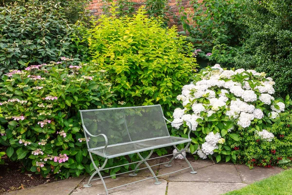 Vintage Gartenbank Aus Metall Friedlicher Gartenecke Neben Hortensiensträuchern — Stockfoto