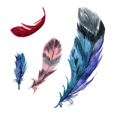 Suluboya set tüyleri parlak renkli, beyaz arka plan üzerinde izole, eller tarafından çizilmiş.