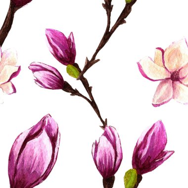 suluboya çiçek desenleri. duvar kağıdı canlandıracak yazdırın. boya çizilmiş. yaşam malzemesi. Manolya