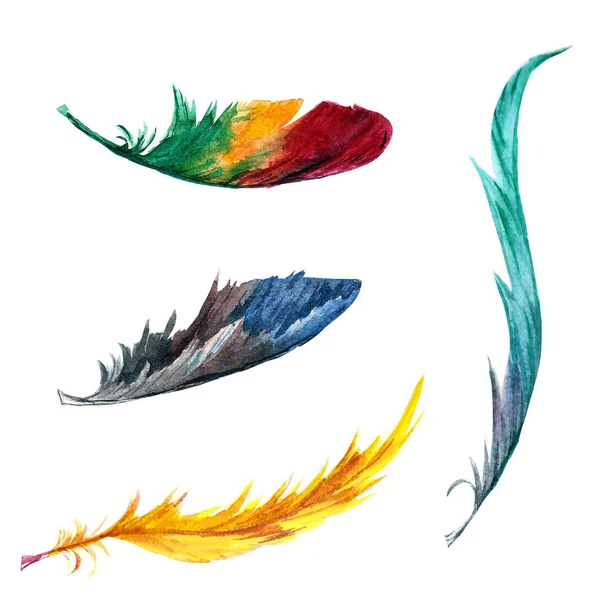 Suluboya set tüyleri parlak renkli, beyaz arka plan üzerinde izole, eller tarafından çizilmiş.