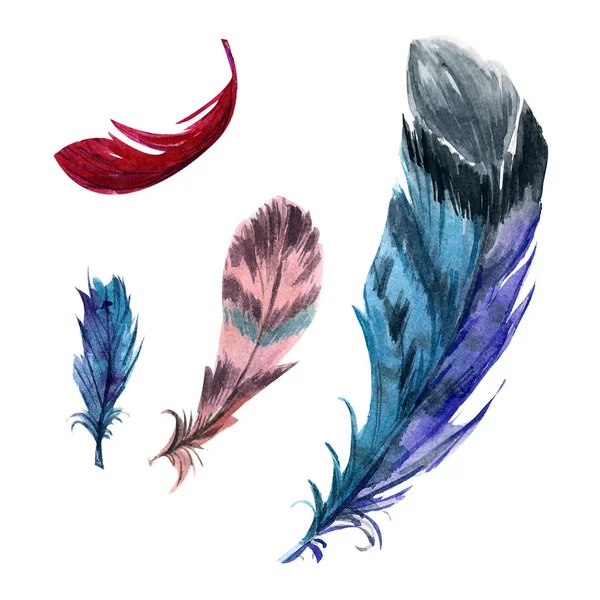 Suluboya set tüyleri parlak renkli, beyaz arka plan üzerinde izole, eller tarafından çizilmiş.