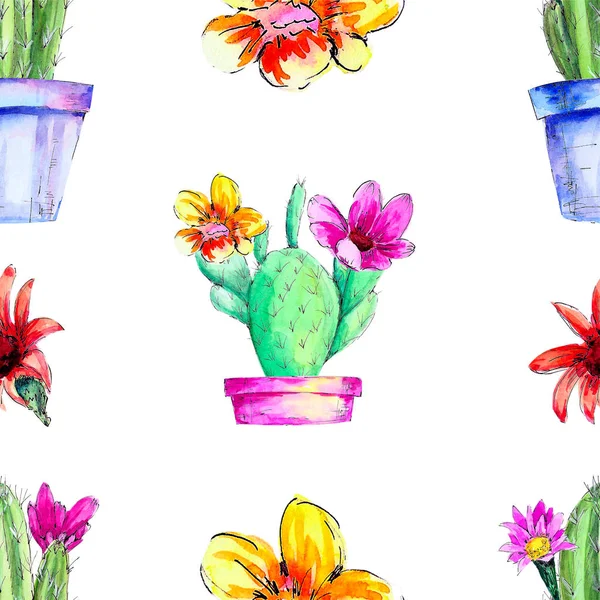 Aquarel Bloeiende Cactus Ingegoten Geïsoleerd Witte Achtergrond Stekelig Groen Naadloze — Stockfoto