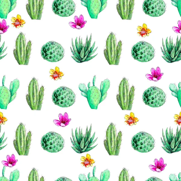 Aquarel Bloeiende Cactus Geïsoleerd Een Witte Achtergrond Stekelig Groen Naadloze — Stockfoto