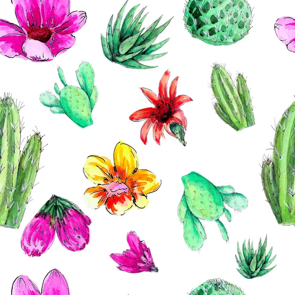 Aquarel Bloeiende Cactus Geïsoleerd Een Witte Achtergrond Stekelig Groen Naadloze — Stockfoto