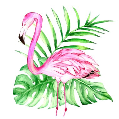 Pembe Flamingo suluboya, beyaz arka planda, izole illüstrasyon, el-çizilmiş, palmiye yaprakları kompozisyon